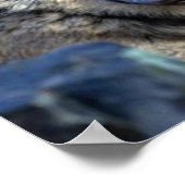 Wolf Foto Poster (Hoek)