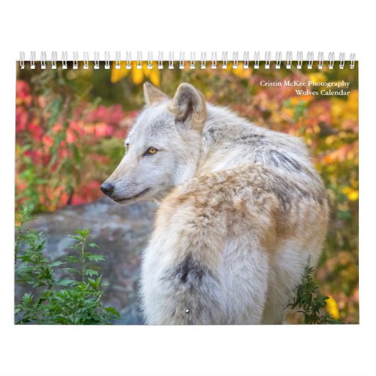 Wolf Fotografie Kalender (Hoes)