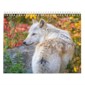 Wolf Fotografie Kalender