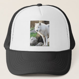 Wolf Fotografische Kunst Spirituele Dierlijke Lief Trucker Pet