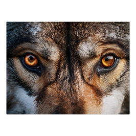 Wolf Gaze Perfect Poster