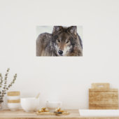 Wolf Gaze Poster (Keuken)