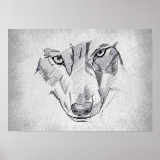 Wolf - Grafisch Tekenen Poster (Voorkant)
