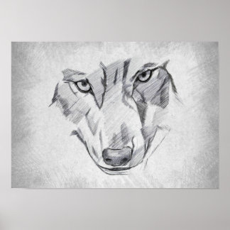 Wolf - Graphic Drawing Poster