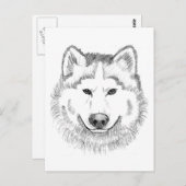 Wolf Head Sketch Briefkaart (Voorkant / Achterkant)