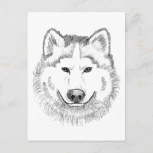 Wolf Head Sketch Briefkaart