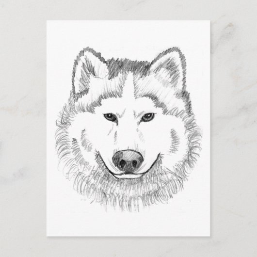 Wolf Head Sketch Briefkaart (Voorkant)