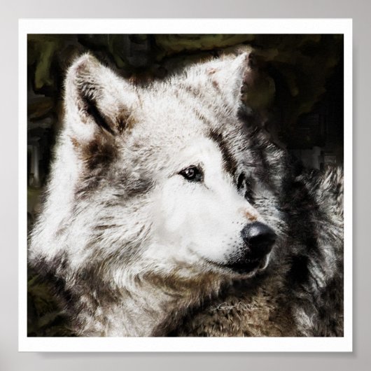 Wolf Head Study Poster (Voorkant)