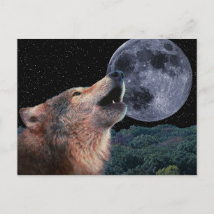 Wolf Howling bij de Volledige maan - Multi-Product Briefkaart