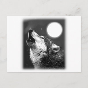Wolf Howling bij Moon Briefkaart