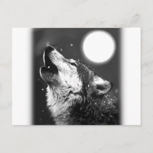Wolf Howling bij Moon Briefkaart