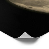 Wolf Howling Full Moon Night  Sepia Poster (Hoek)