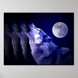 Wolf Huilt naar Maan Poster Print - Wolf Posters
