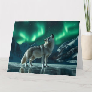 Wolf huilt onder het Noorderlicht Kaart