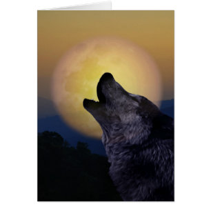 Wolf hurle sur la lune