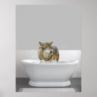 Wolf in badkuip bubbelbad