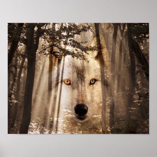 Wolf in de bossen poster (Voorkant)