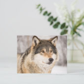 Wolf in een winterbos briefkaart (Staand voorkant)