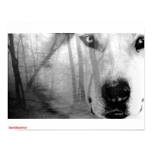 Wolf in Forest Poster DarkSpectrum origineel
