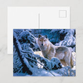 Wolf in het winterbosschilderij briefkaart (Voorkant / Achterkant)