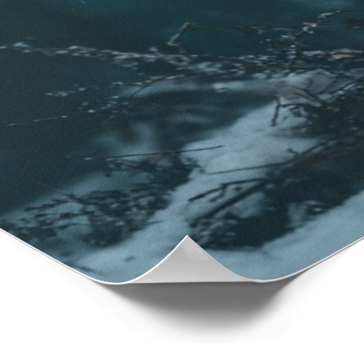 Wolf in Winter Poster (Hoek)