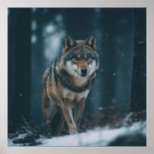 Wolf in Winter Poster (Voorkant)