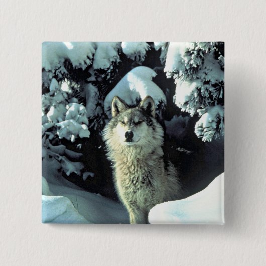 Wolf in winterstilte vierkante button 5,1 cm (Voorkant)