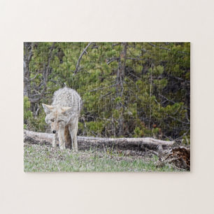 Wolf in Yellowstone Puzzle Legpuzzel