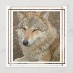 Wolf Invitation Kaart