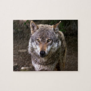 WOLF JIGSAW PUZZLE