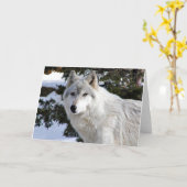 wolf kaart (Gele Bloem)