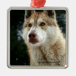 Wolf kerstboomversiering metalen ornament