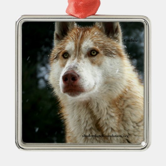 Wolf kerstboomversiering metalen ornament (Voorkant)