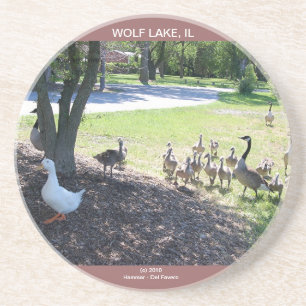 WOLF LAKE ONDERZETTER