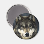 Wolf Magneet (Voorkant / Achterkant)