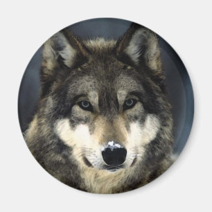 Wolf Magneet
