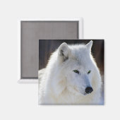 Wolf Magneet (Voorkant / Achterkant)