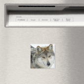Wolf Magneet (Insitu (Vaatwasser))