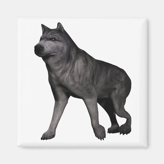 Wolf Magneet (Voorkant)