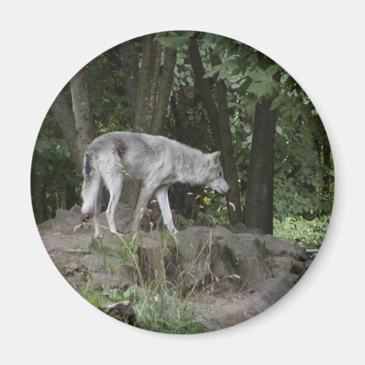 Wolf Magnet Magneet (Voorkant)