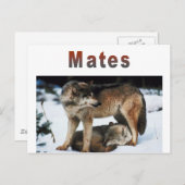 Wolf Mates Line Briefkaart (Voorkant / Achterkant)