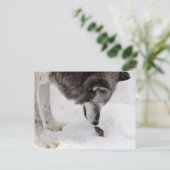 Wolf Meets Mouse Briefkaart (Staand voorkant)