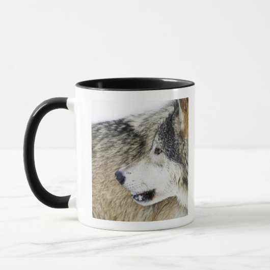 Wolf Mok (Links)