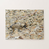 Wolf op de Rocks Legpuzzel (Horizontaal)