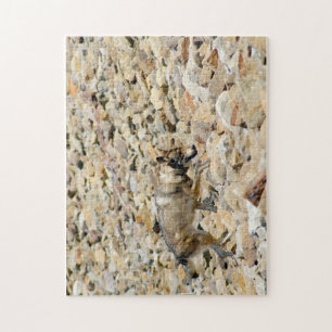 Wolf op de Rocks Legpuzzel