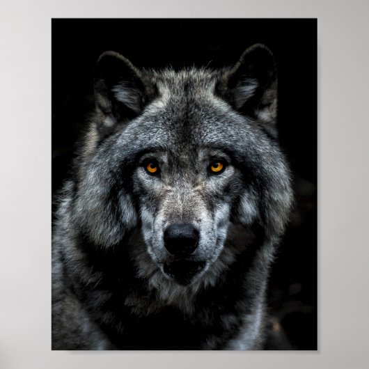 Wolf Oranje Eyes Wild Animal Natuur Poster (Voorkant)