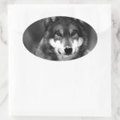 Wolf Ovale Sticker (Tas)