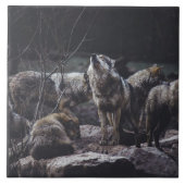 Wolf Pack Ceramic Tile Tegeltje (Voorkant)
