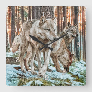 WOLF PACK DAWN RAIDERS VIERKANTE KLOK