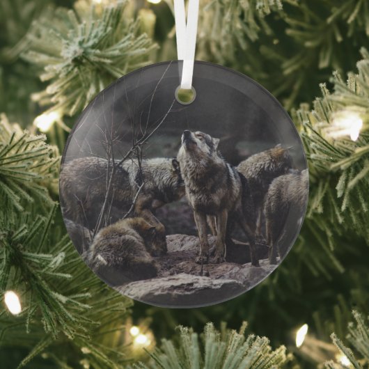 Wolf Pack Glas Ornament (Insitu)